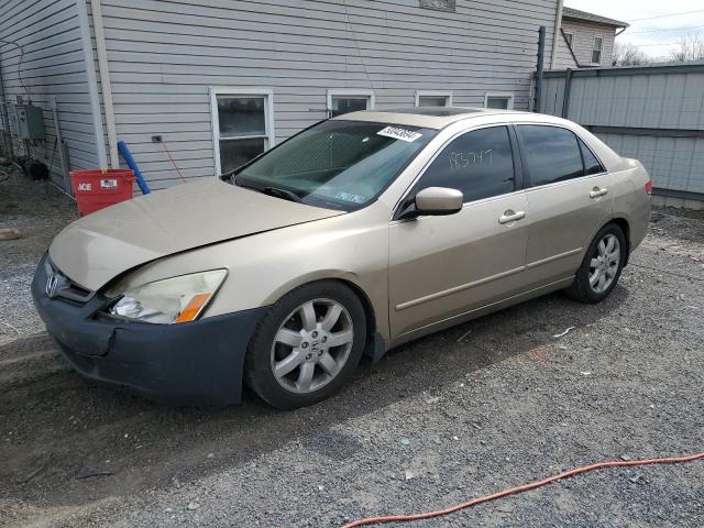 Lot #2549750997 2004 HONDA ACCORD EX salvage car