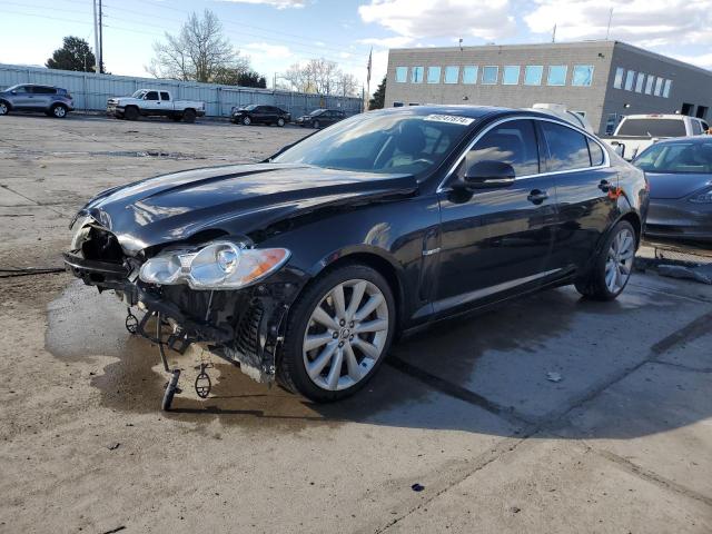 Lot #2471582061 2011 JAGUAR XF PREMIUM salvage car