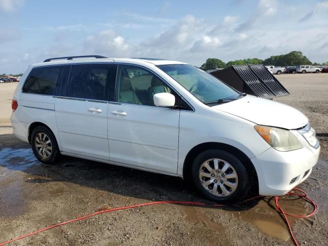 2009 Honda Odyssey Exl VIN: 5FNRL387X9B407453 Lot: 51345514