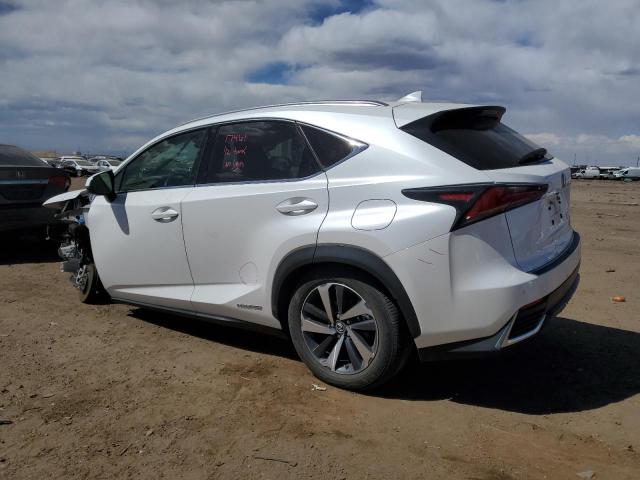 2019 Lexus Nx 300H VIN: JTJBJRBZ9K2117876 Lot: 50726874