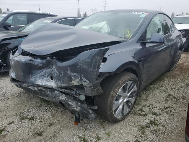 2023 Tesla Model Y VIN: 7SAYGDEE3PA117500 Lot: 51405704