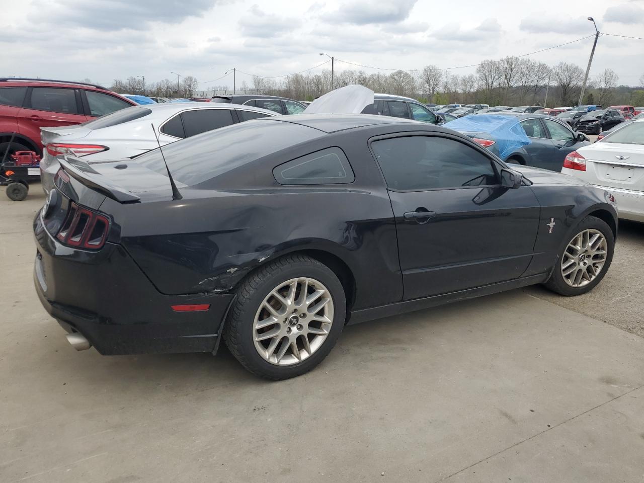 1ZVBP8AM7D5251172 2013 Ford Mustang