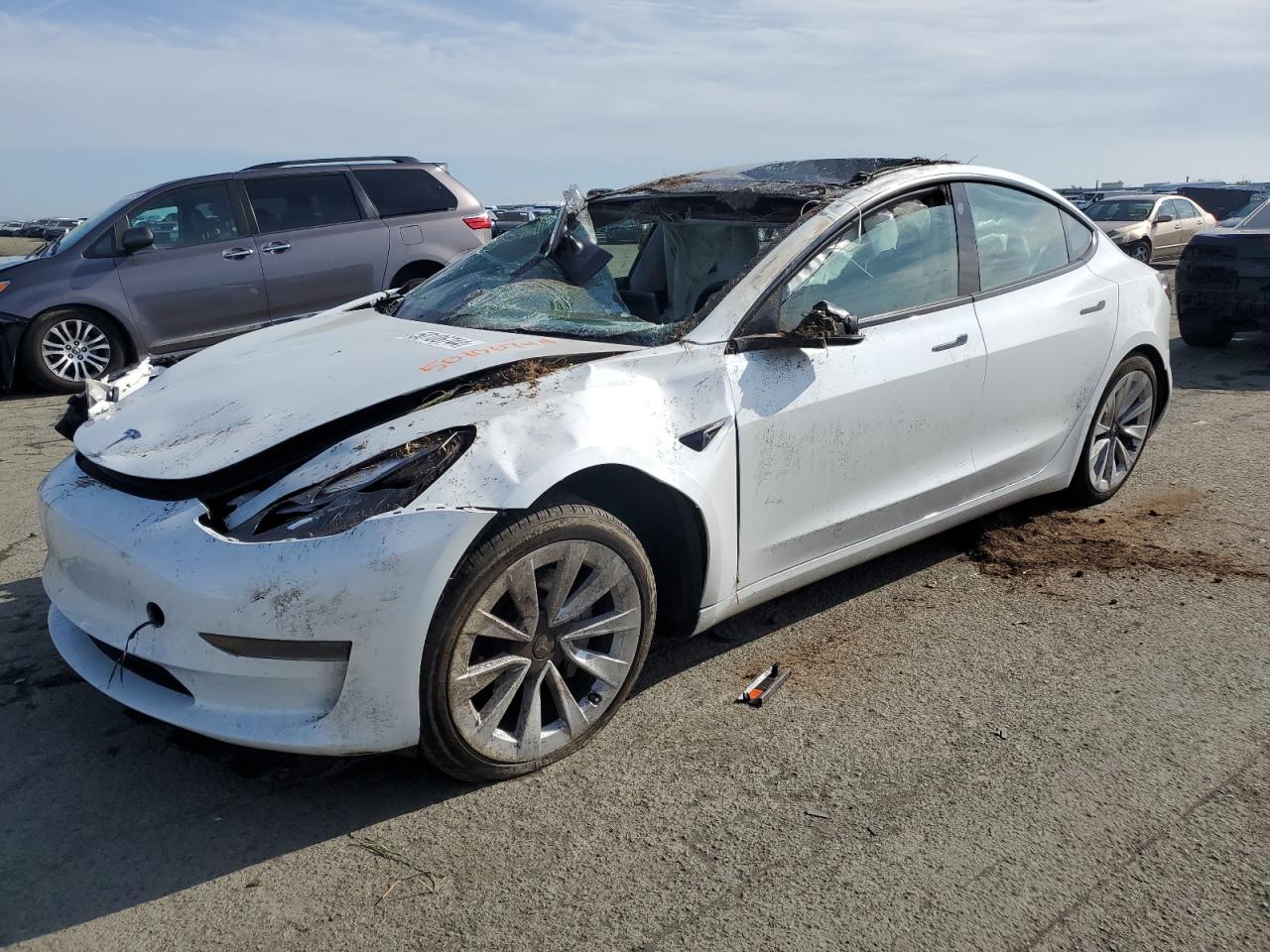 TESLA MODEL 3