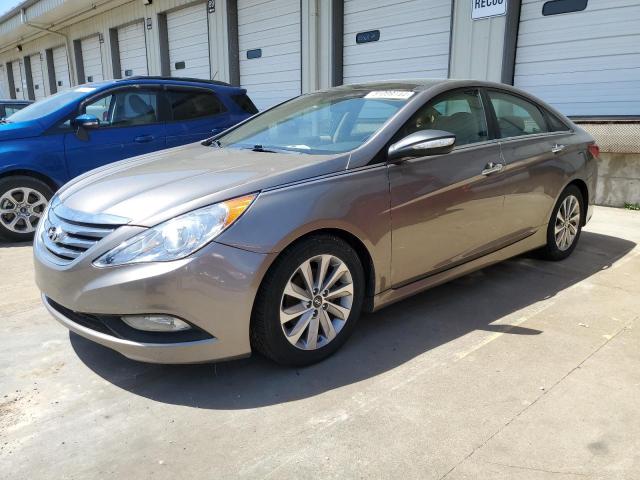 Lot #2489617269 2014 HYUNDAI SONATA SE salvage car