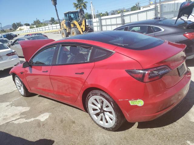 2023 TESLA MODEL 3 - 5YJ3E1EA1PF454940