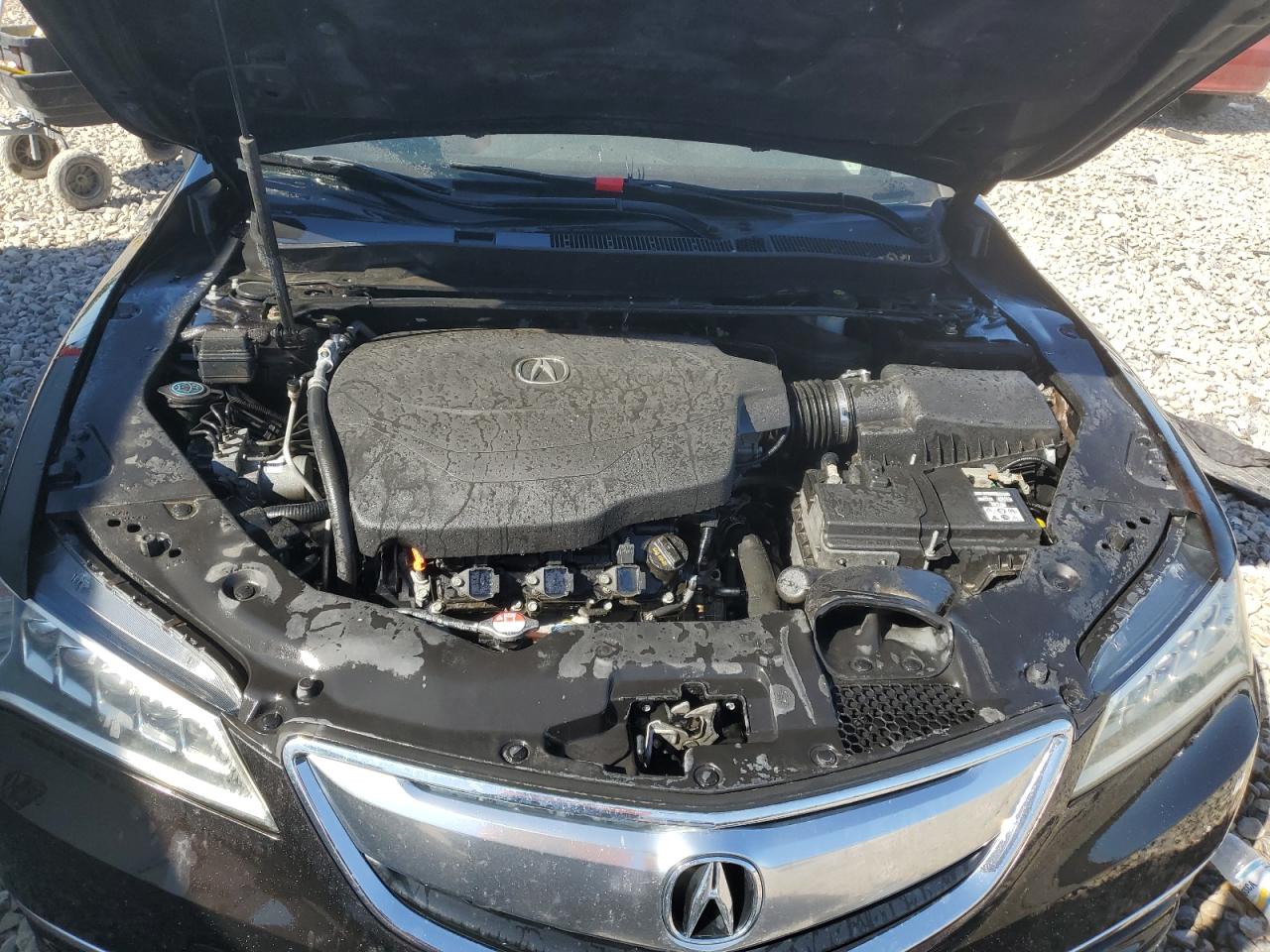 2016 Acura Tlx vin: 19UUB2F39GA005972