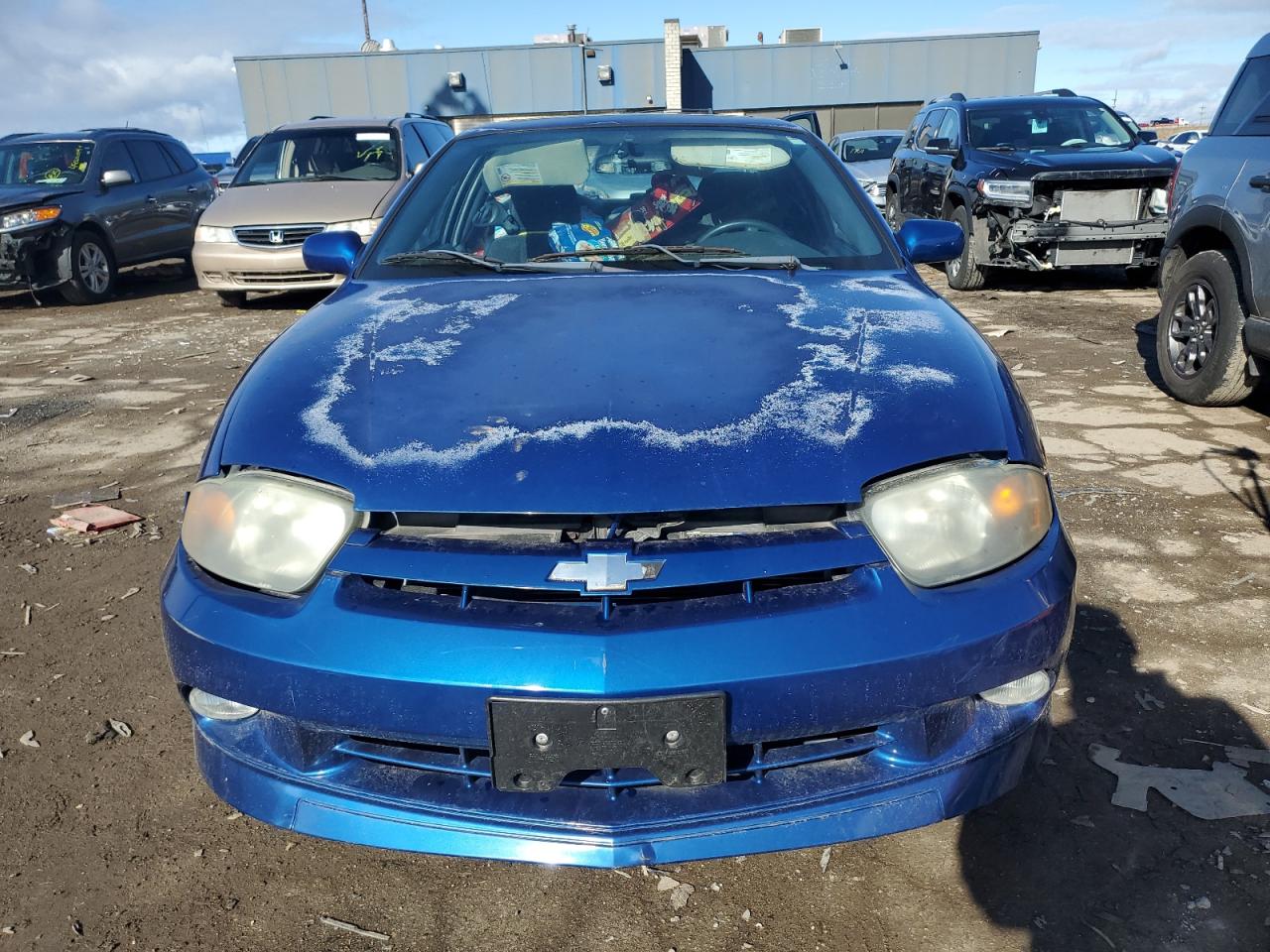 Global Auto Auctions