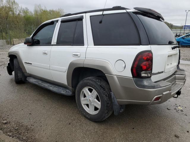 2002 Chevrolet Trailblazer VIN: 1GNDT13S222344746 Lot: 50027434