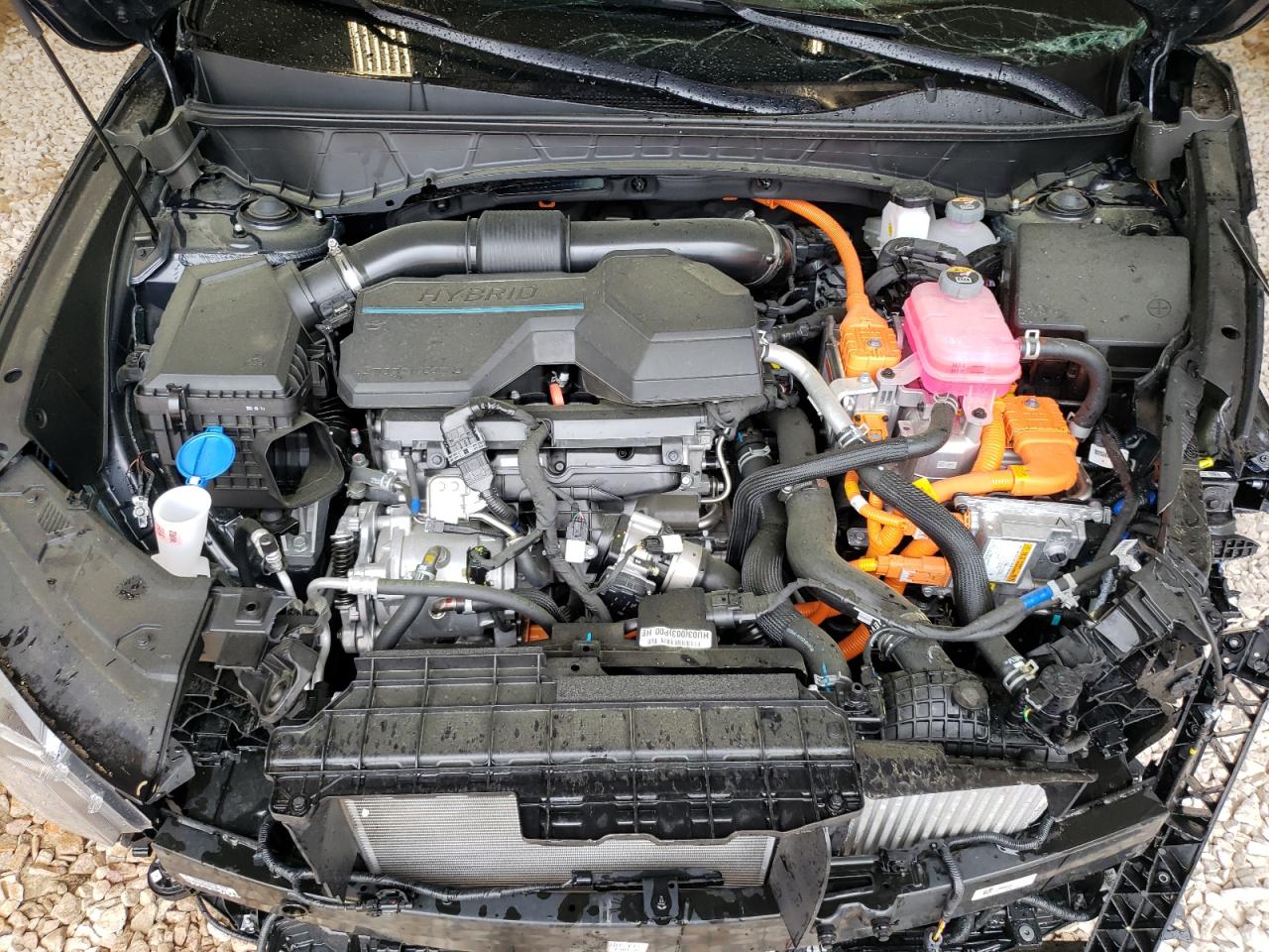 KM8JECD19RU160115 2024 Hyundai Tucson Limited