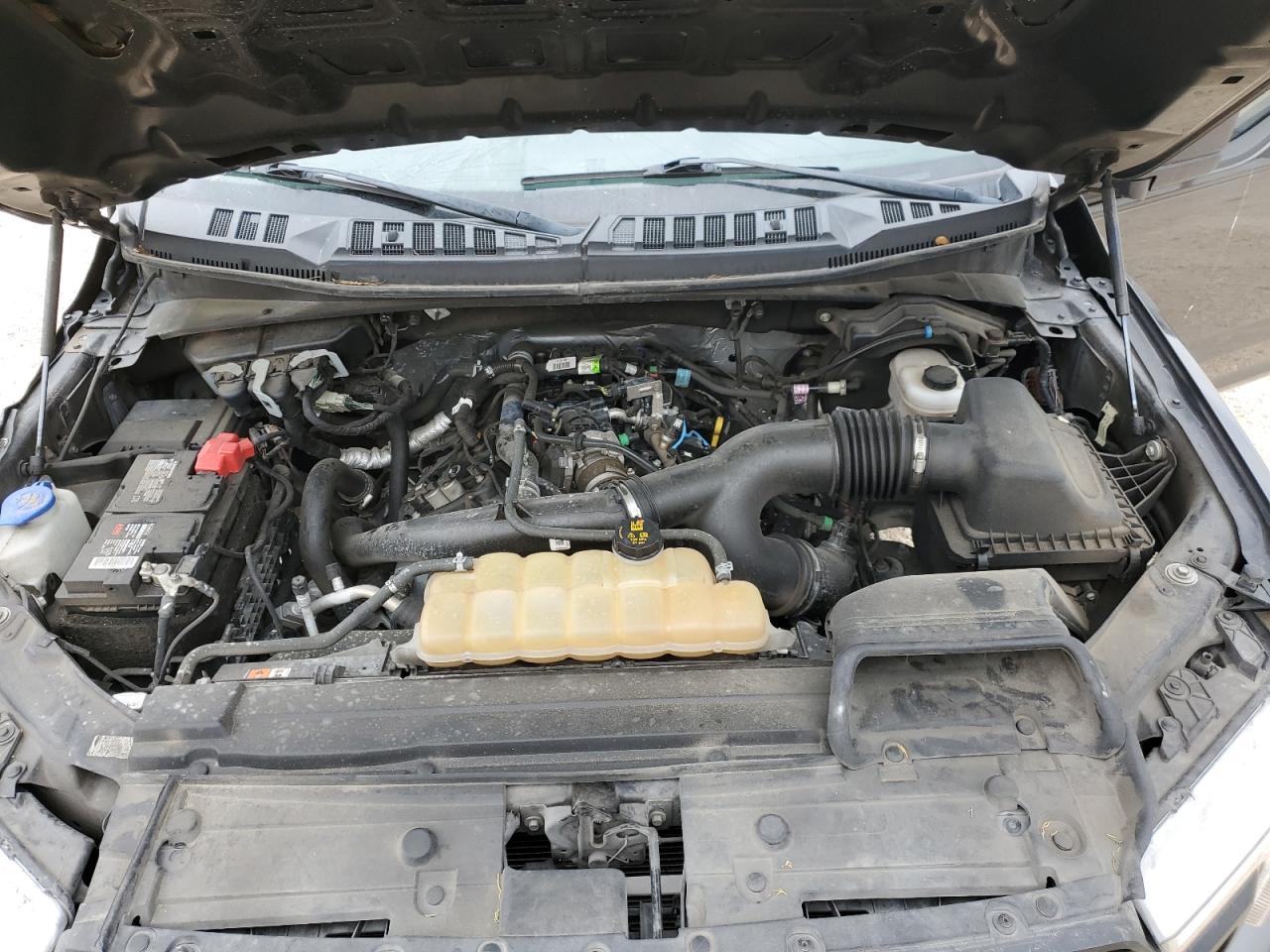 1FTEW1EP1LKE55268 FORD F-150 2020