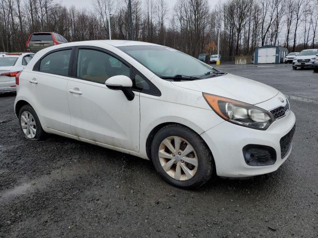 2013 Kia Rio Ex VIN: KNADN5A39D6194049 Lot: 49079524