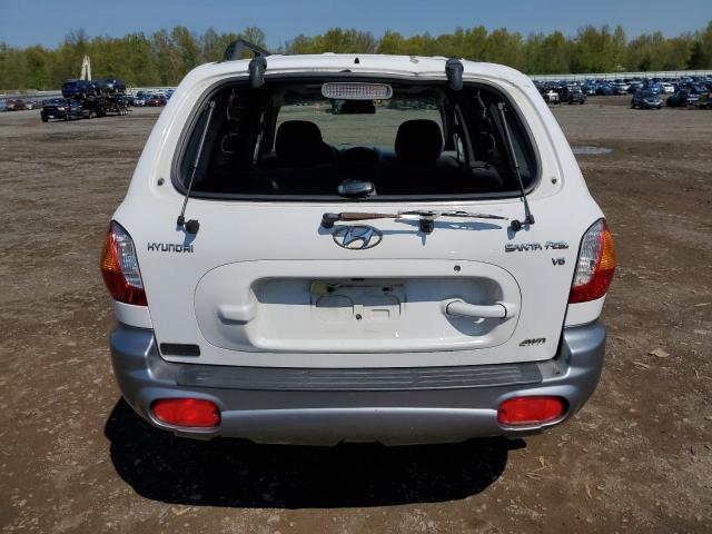 2003 Hyundai Santa Fe Gls VIN: KM8SC73D43U364728 Lot: 52555924