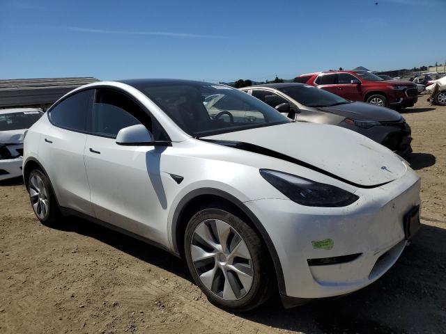 2023 Tesla Model Y VIN: 7SAYGDEE2PF783783 Lot: 50501914