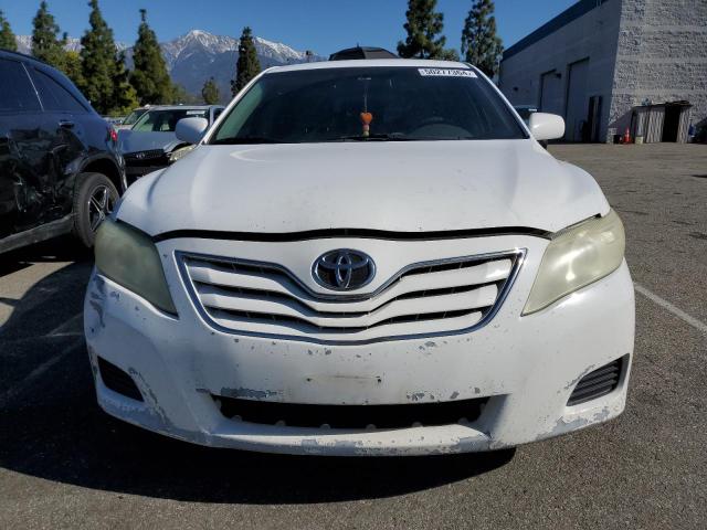 Lot #2469219729 2010 TOYOTA CAMRY BASE salvage car