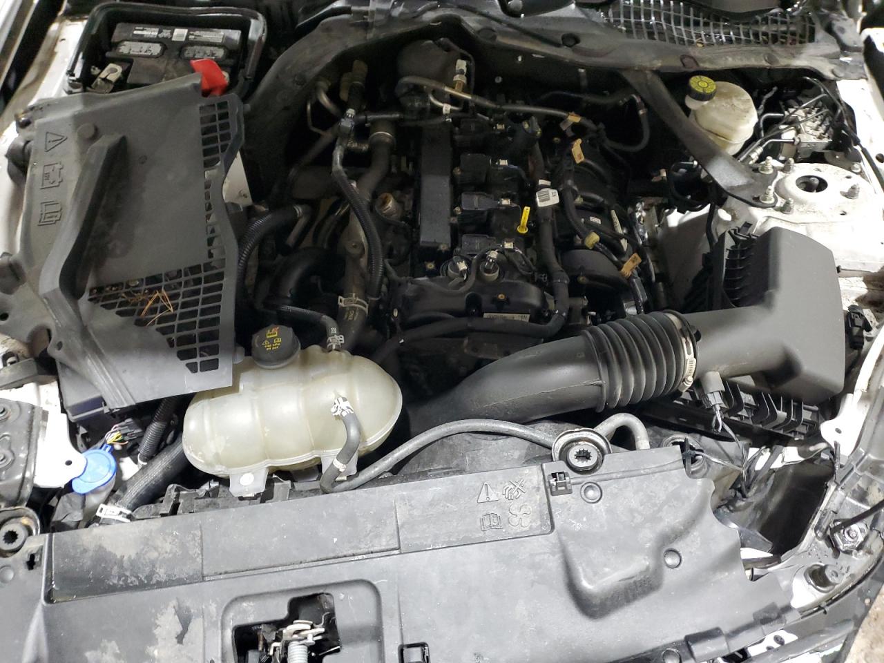 1FATP8UH6M5106670 FORD ALL Models 2021