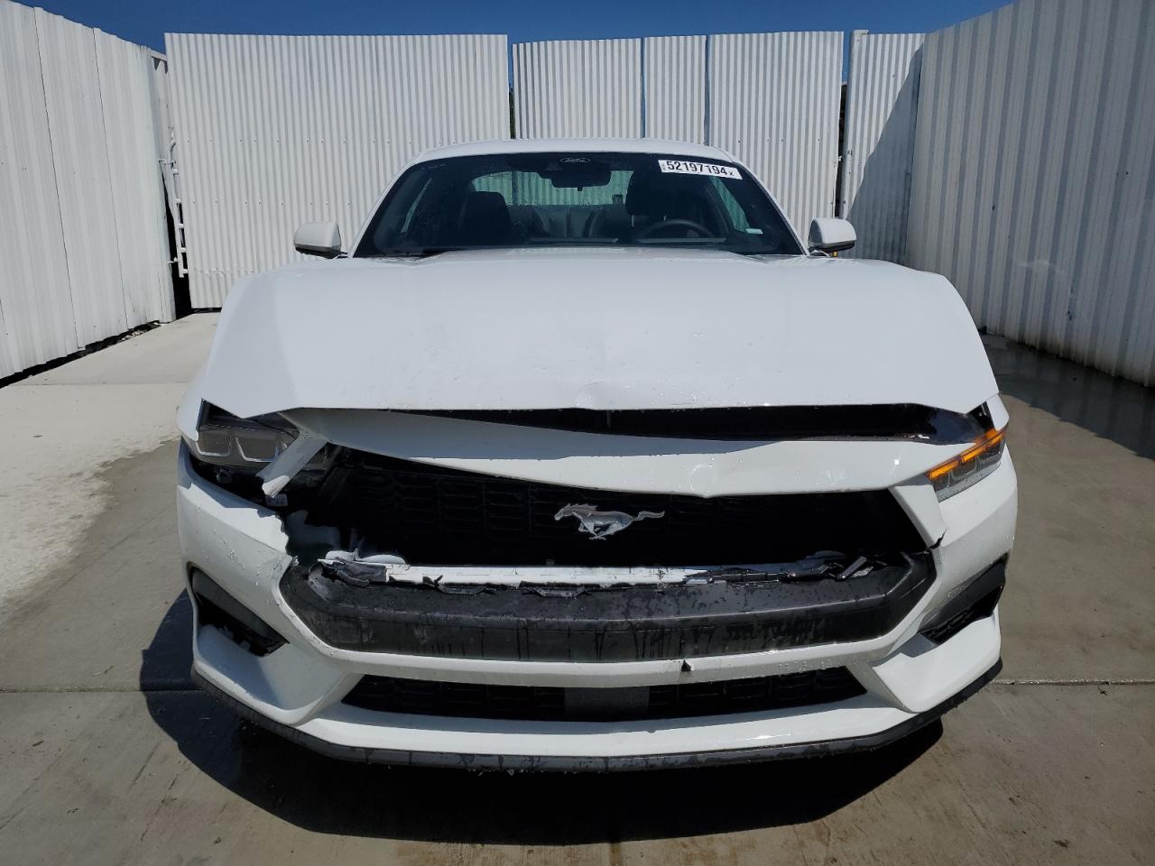 1FA6P8TH2R5107675 FORD ALL Models 2024