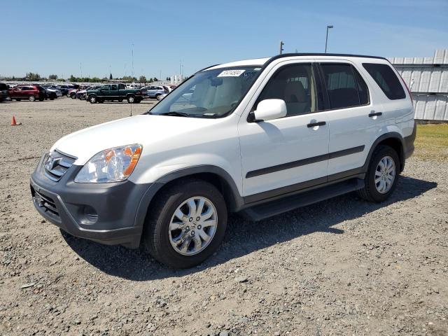 2005 Honda Cr-V Ex VIN: JHLRD78815C036223 Lot: 51414504