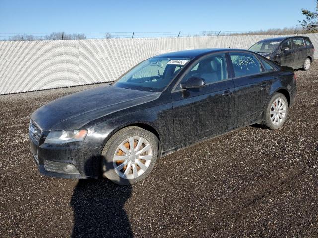Vin: waubfcfl3an009187, lot: 71066463, audi a4 premium 2010 img_1