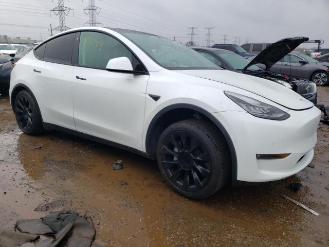 2021 Tesla Model Y VIN: 5YJYGDED0MF114069 Lot: 49261494