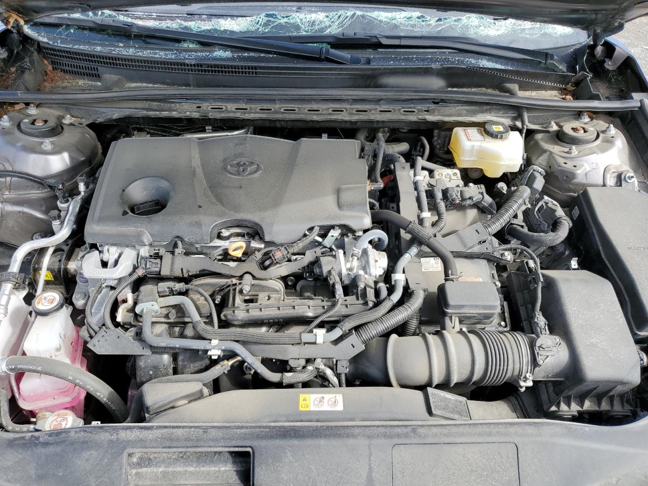 4T1C31AK0NU570098 2022 Toyota Camry Le