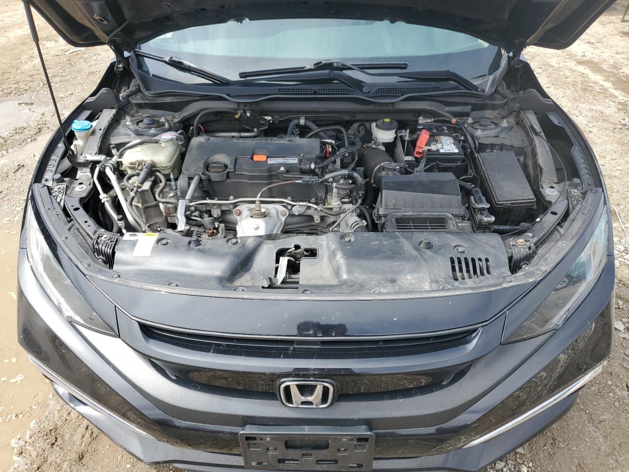 2019 Honda Civic Lx vin: 2HGFC2F64KH561178