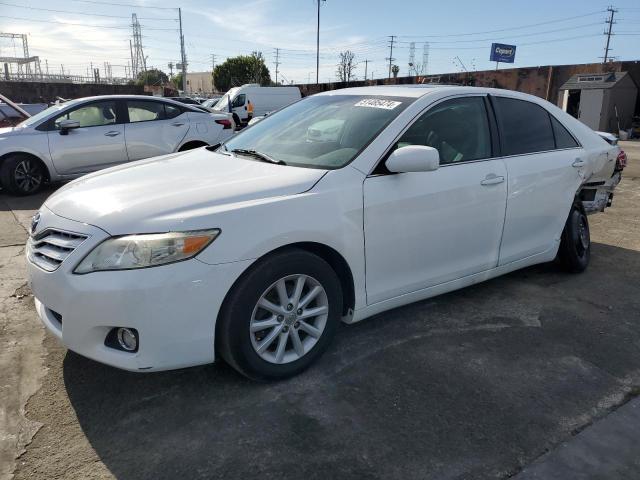 Lot #2505373565 2011 TOYOTA CAMRY BASE salvage car