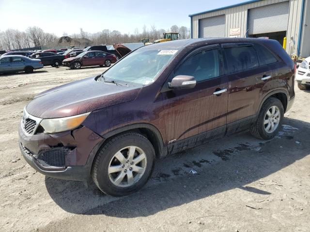 2011 Kia Sorento Base VIN: 5XYKTCA1XBG061376 Lot: 49999184