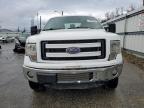 FORD F150 SUPER photo