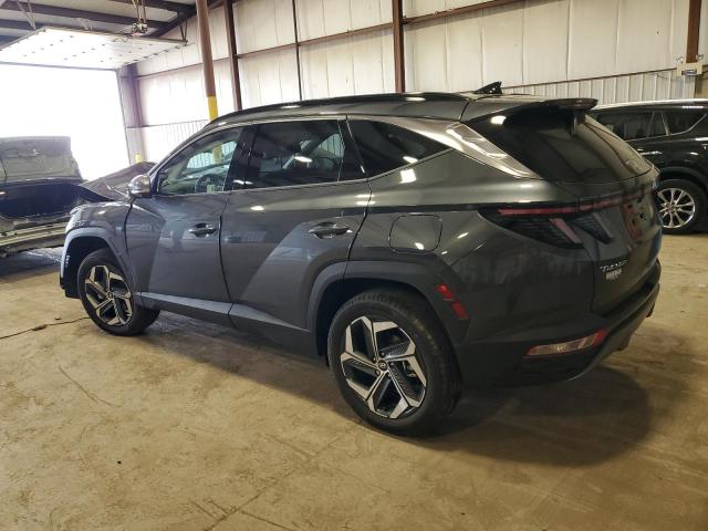 2024 Hyundai Tucson Limited VIN: 5NMJECDE9RH363102 Lot: 49694684