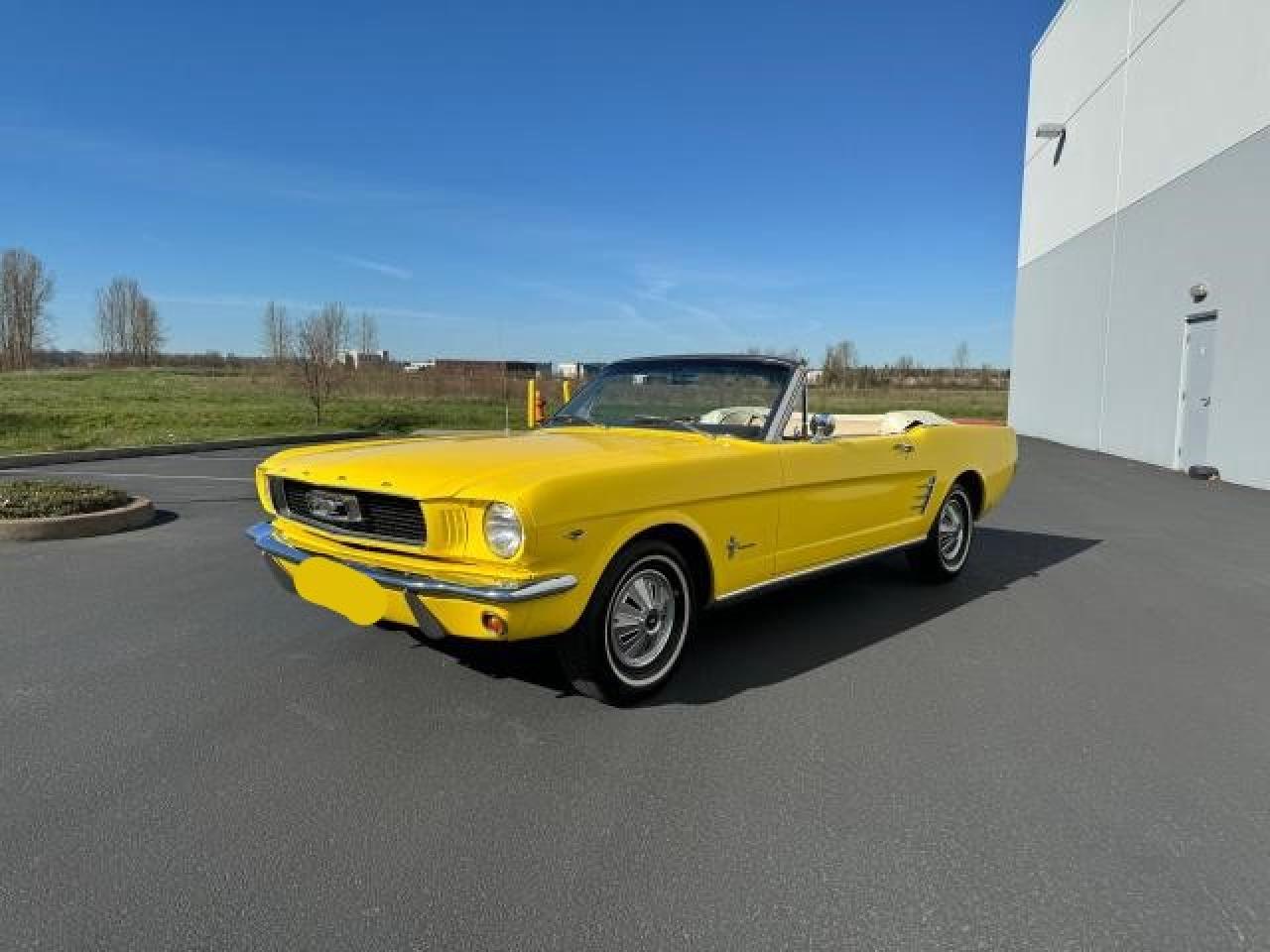 Lot #2461298497 1966 FORD MUSTANG