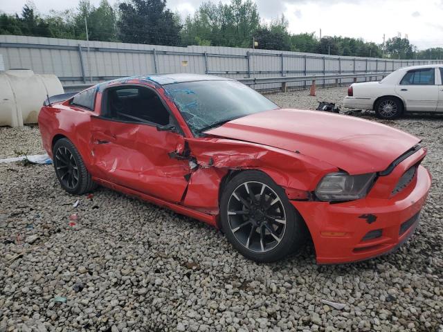 2014 Ford Mustang VIN: 1ZVBP8AM7E5270368 Lot: 50855074