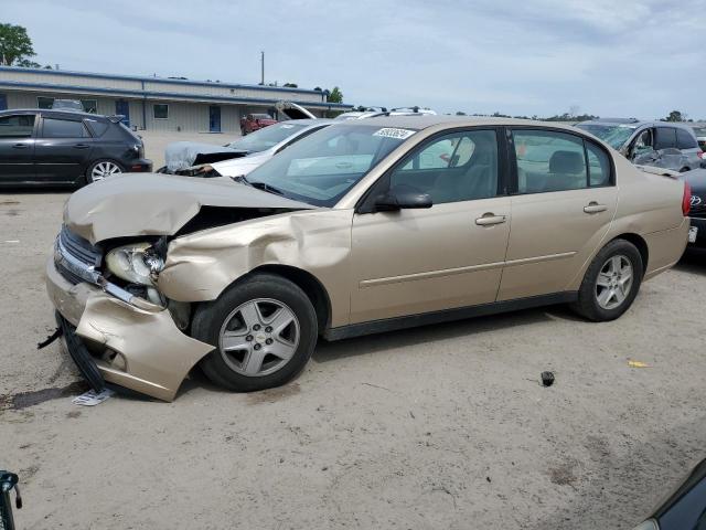 2005 Chevrolet Malibu Ls VIN: 1G1ZT52805F238555 Lot: 52382544