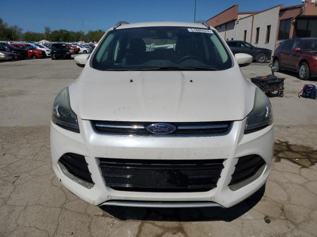 2014 Ford Escape Titanium VIN: 1FMCU0J97EUA69259 Lot: 51889324