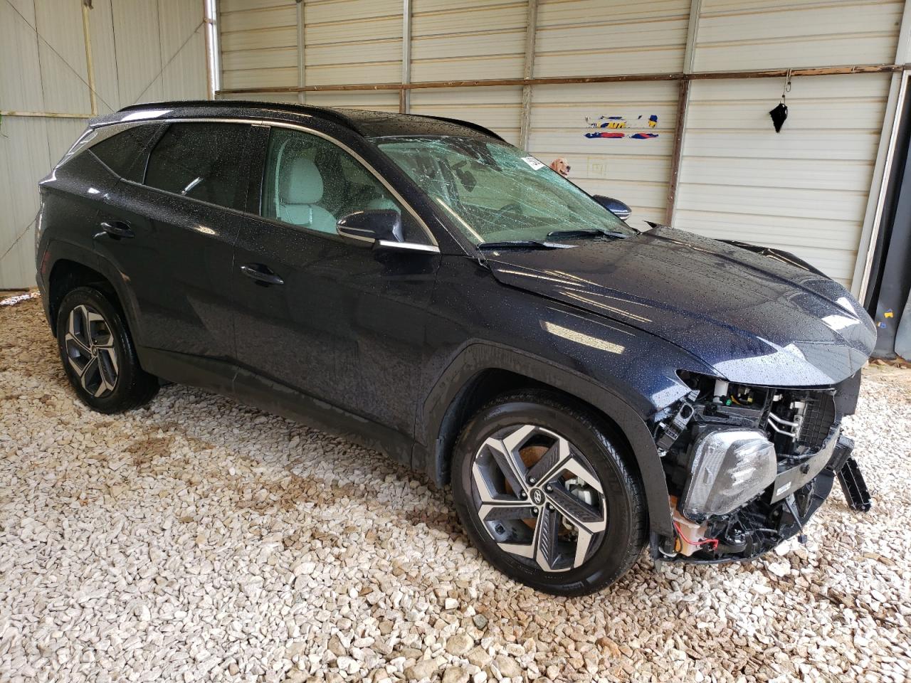 KM8JECD19RU160115 2024 Hyundai Tucson Limited