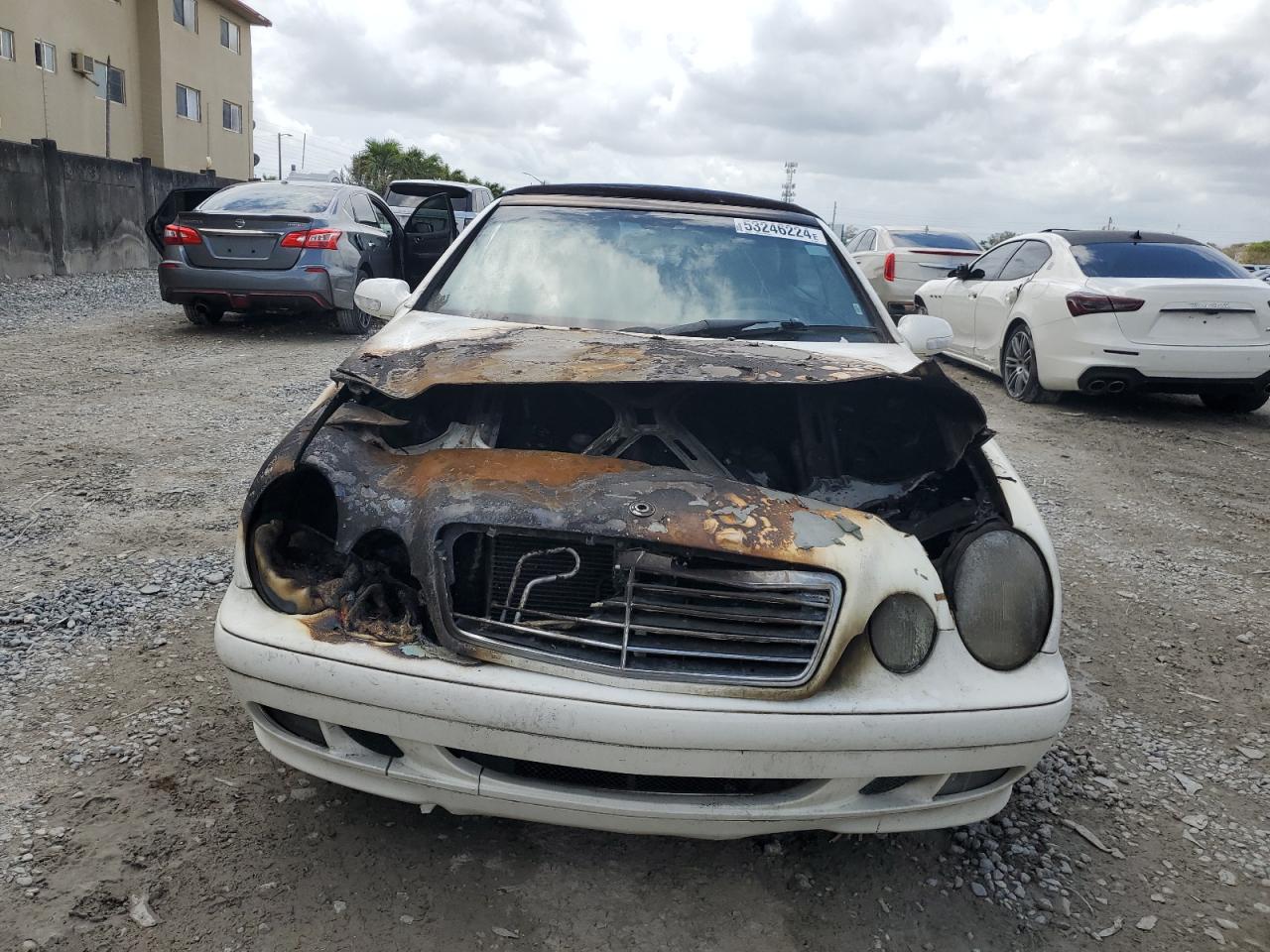 WDBLK65G72T126551 2002 Mercedes-Benz Clk 320