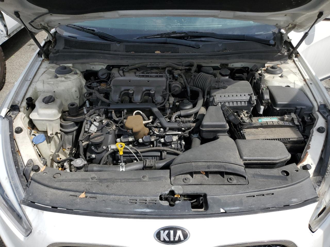 KNALN4D78E5138194 2014 Kia Cadenza Premium