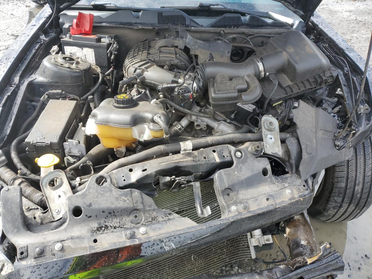 1ZVBP8AM2D5248163 2013 Ford Mustang