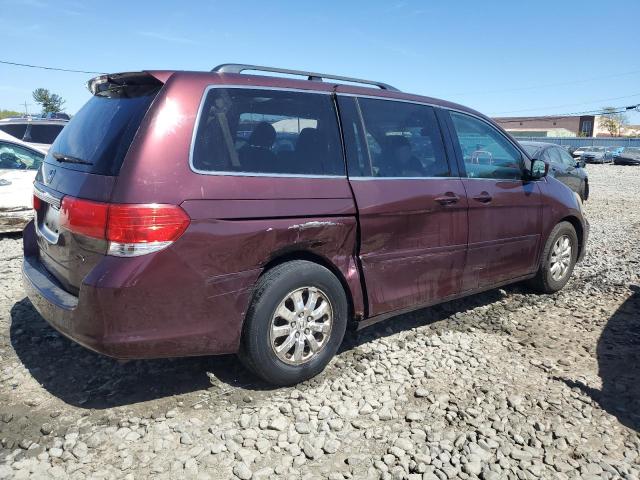 2010 Honda Odyssey Exl VIN: 5FNRL3H6XAB091788 Lot: 52698024