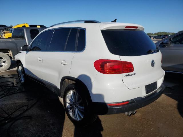 2013 Volkswagen Tiguan S VIN: WVGBV3AX7DW559678 Lot: 50301394