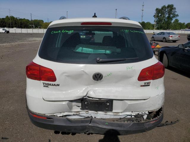 2016 Volkswagen Tiguan S VIN: WVGBV7AX7GW558798 Lot: 52169974