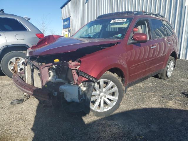 Lot #2517531859 2011 SUBARU FORESTER L salvage car