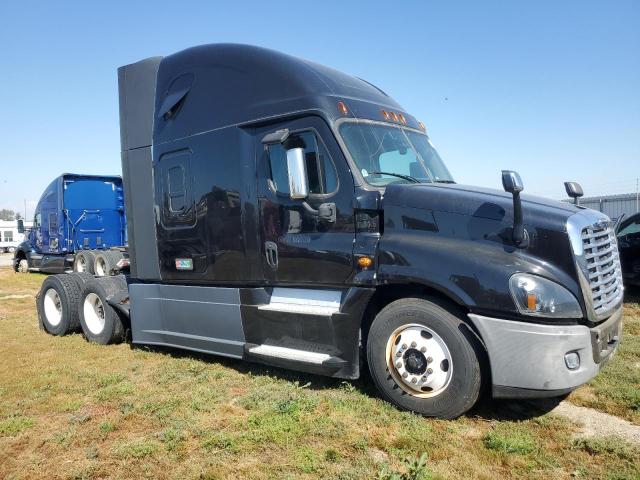 3AKJGLDR3KSKM1981 2019 Freightliner Cascadia 125