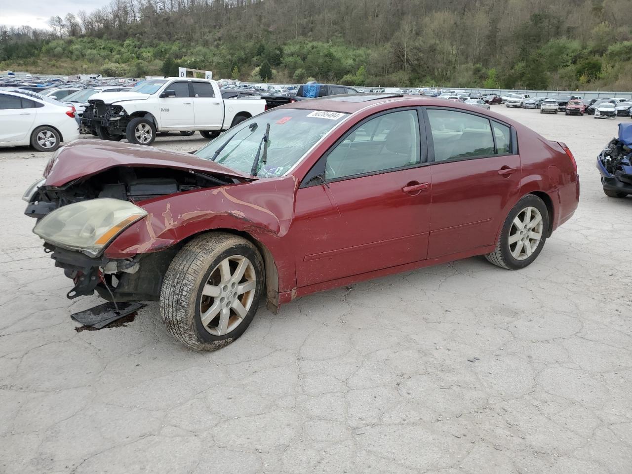 1N4BA41E64C885578 2004 Nissan Maxima Se