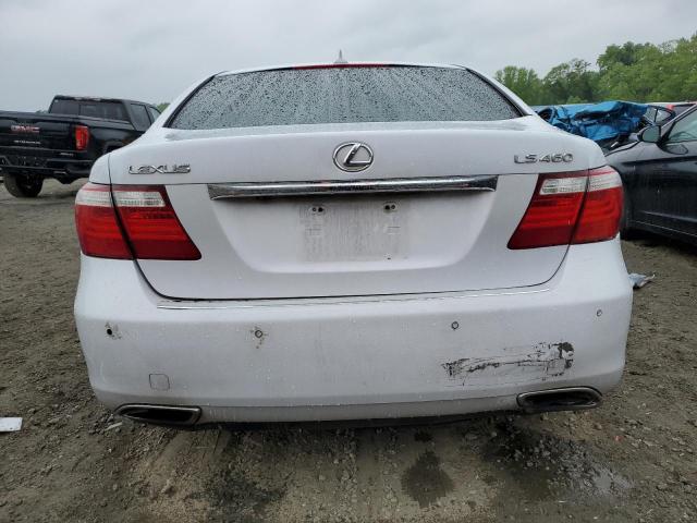 2008 Lexus Ls 460 VIN: JTHBL46F185059090 Lot: 52462524