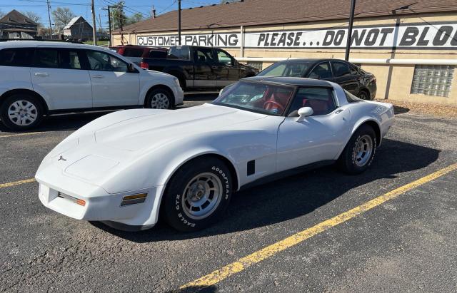 CHEVROLET CORVETTE  1981 1