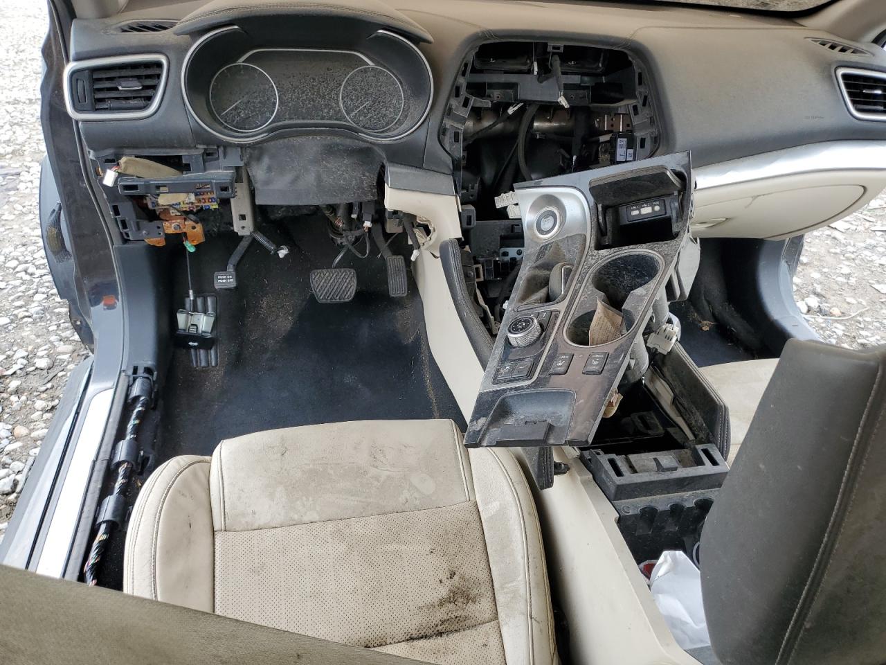 Global Auto Auctions