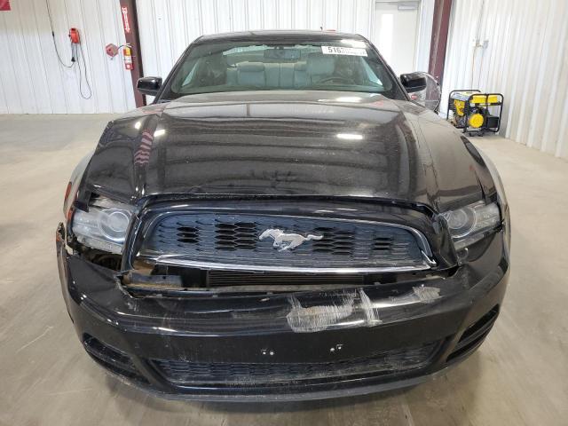 2013 Ford Mustang VIN: 1ZVBP8AM0D5225240 Lot: 51630024