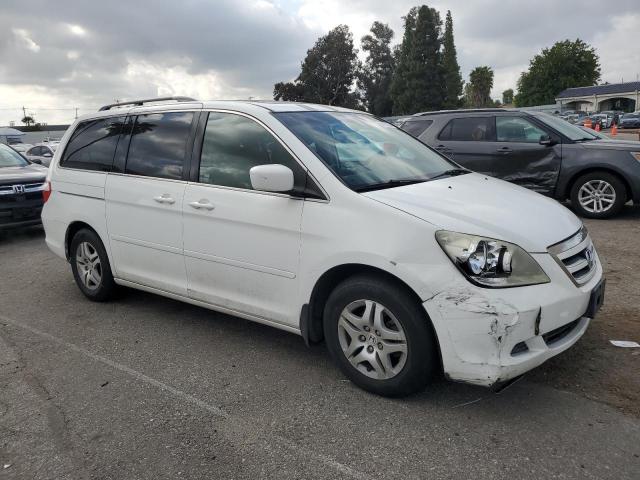 2007 Honda Odyssey Exl VIN: 5FNRL38737B090239 Lot: 51924314