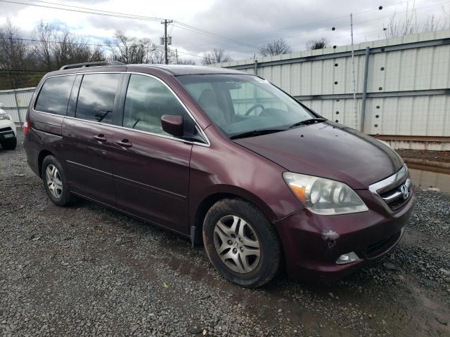 2007 Honda Odyssey Exl VIN: 5FNRL38777B405611 Lot: 49585714