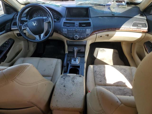 2010 Honda Accord Crosstour Exl VIN: 5J6TF1H57AL002291 Lot: 49750384